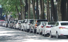 Đi ô tô chúc Tết, đỗ xe thế nào để không bị phạt?