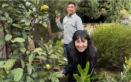 Nữ NSND tuổi ngựa cưới tài tử điện ảnh lừng lẫy, sở hữu biệt thự hoành tráng giữa trung tâm TP. Hồ Chí Minh