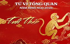 Tử vi tổng quan tuổi Thân năm Bính Ngọ: Sự nghiệp thăng tiến, tài lộc đủ đầy nhưng cần chú ý 1 điều