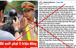 Từ tin phạt 5 triệu với người quay clip CSGT làm nhiệm vụ: Khi nào được ghi âm, quay video?