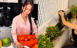 Diệp Lâm Anh gây bão với loạt clip nữ công gia chánh, phản hồi thẳng thắn khi netizen réo tên Vũ Thúy Quỳnh