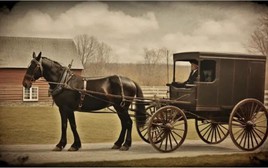 Sự thật về thiết kế ô tô: Những di sản từ thời xe ngựa