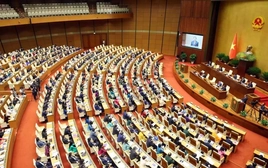 Nhân sự Chính phủ, Quốc hội ứng cử đại biểu Quốc hội khóa XVI