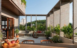 7 loại cây mang lại may mắn và thịnh vượng, nên trồng trong nhà dịp năm mới