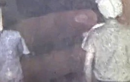 Trích xuất camera, Công an TPHCM  bắt 3 thanh thiếu niên cướp giật lúc rạng sáng