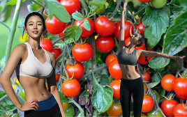 Ăn 1 loại quả đỏ chót mỗi sáng, người phụ nữ giảm 16kg trong 3 tháng bất chấp vẫn ăn hàng và uống trà sữa