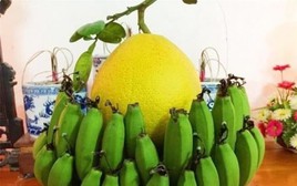 Cảnh báo đặc biệt tới các gia đình đang bày bưởi ngày Tết