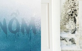 Kinh hoàng: Nấm mốc âm thầm "làm ổ" trong 7 thứ quen thuộc, mùa nồm đến là sinh sôi như vũ bão