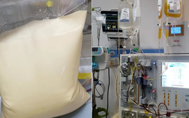 25 tuổi, máu chuyển trắng như sữa, cùng lúc mắc 3 bệnh nguy kịch: Bác sĩ cảnh báo lối sống này đang âm thầm “bôi mỡ” vào máu người trẻ