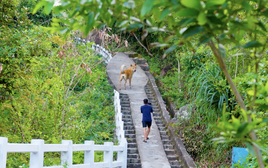 Bị bóc phốt thái độ chảnh chọe nhưng "hướng dẫn viên" ở Mũi Điện lại khiến ai cũng tranh nhau thuê