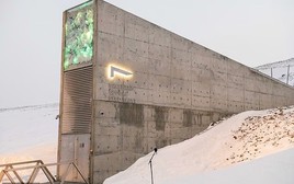 Bên trong kho bí ẩn lưu giữ sự sống sau tuyệt chủng toàn cầu