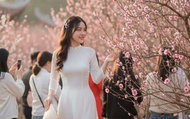 Tại sao tiết Lập xuân thường không thể trùng đúng mùng 1 Tết