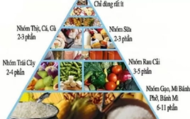 Ăn Tết thế nào để bảo vệ thận?