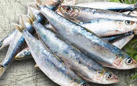 7 loại cá tích tụ thủy ngân nhiều bậc nhất