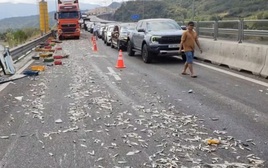 4 ô tô va chạm trên cao tốc Cam Lâm - Vĩnh Hảo, ùn tắc kéo dài