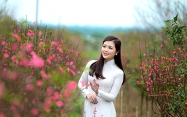 Dự báo thời tiết từ nay đến mùng 6 Tết: Miền Bắc đón thêm đợt không khí lạnh