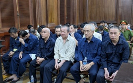 Xét xử vụ cấp khống gần 16.000 chứng chỉ lái xe tại TP.HCM