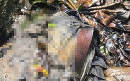 Phát hiện bộ xương người trong bìa rừng ở Măng Đen