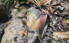 Phát hiện bộ xương người ở bìa rừng