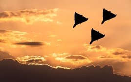 UAV Iran nhắm căn cứ Anh, châu Âu lo ngại: Vì sao 'Hòn đảo tình yêu' bỗng trở thành điểm nóng chiến lược?