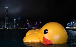 Vì sao nhiều người rất thông minh lại không hạnh phúc?