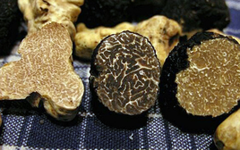 Thứ bị coi là đồ bỏ đi bỗng hóa “kho báu”, giá ngất ngưởng hơn 3 tỷ đồng