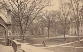 Vì sao Đại học Harvard lại có tên là Harvard?