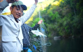 Ngược dòng sông Krông Nô săn loài cá quý hiếm ở Lâm Đồng cùng bà con K'Ho