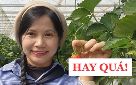 Bà mẹ Hà Nội chỉ cách nuôi dạy con thành CÔNG DÂN TOÀN CẦU: Từ mầm non đến đại học, cực kì chi tiết