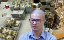 Được trả lương 350 triệu/tháng, 3 người "Tổ tư vấn" của siêu lừa nghìn tỷ Mr Pips làm công việc gì?