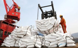 Không phải dầu mỏ, một mặt hàng khác đang thiếu hụt có nguy cơ làm rung chuyển ngành thực phẩm toàn cầu, Trung Quốc 'ngư ông đắc lợi'