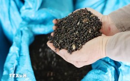 Việt Nam đón tin cực vui từ Thái Lan