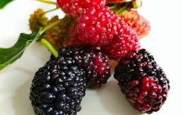 4 loại trái cây người Việt ăn hàng ngày giúp bồi bổ máu nuôi dưỡng gan, chợ bán giá rất rẻ