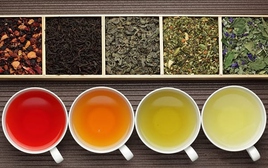 Tại sao ba loại cây trồng chính để sản xuất đồ uống trên thế giới là trà, cà phê và ca cao đều mang vị đắng?