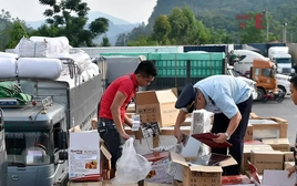 Kéo dài thời gian tạm ngưng hiệu lực Nghị định 46 và Nghị quyết 66.13 về an toàn thực phẩm