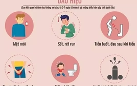 Nhiều bệnh lây qua đường tình dục không triệu chứng, dễ bị bỏ qua, hệ luỵ nặng nề