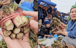 Thứ rau đặc sản lạ lùng ở chợ phiên Y Tý: Ngoại hình "từ chối hiểu" nhưng xào tỏi lại siêu ngon, lỡ dịp là mòn mỏi đợi sang năm