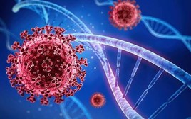 Bộ Y tế thông tin nóng về biến thể SARS-CoV-2 BA.3.2: Sẵn sàng ứng phó