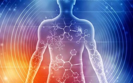 Tập thể dục đúng cách, một phần cơ thể có thể "hồi xuân"