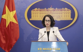 Việt Nam phản đối sử dụng vũ lực nhắm vào các quốc gia có chủ quyền