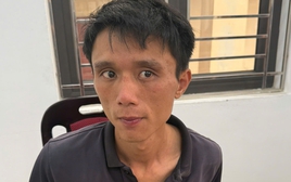 Bắt nghi phạm sát hại cụ bà 87 tuổi, phi tang thi thể tại vườn chuối