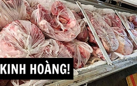 Đọc vụ 300 tấn LỢN BỆNH mà hãi: Khi nhà trường không quản nổi miếng thịt trẻ ăn thì mọi bài giảng đạo đức đều là sáo rỗng!