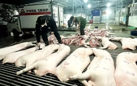 Vụ thịt lợn dịch vào bếp ăn: Nói thẳng về trách nhiệm của ngành nông nghiệp