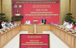 Thông qua Báo cáo kiểm tra, giám sát của Bộ Chính trị đối với Ban Thường vụ Đảng ủy Chính phủ