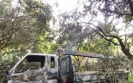 Hà Nội: Xe tải cẩu cây vướng dây điện, tài xế tử vong