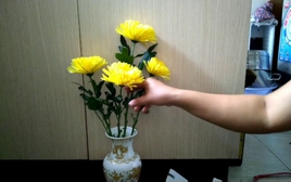 Cảnh báo đặc biệt tới các gia đình đang cắm hoa cúc trên bàn thờ ngày Rằm, mùng 1