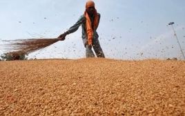 Căng thẳng Trung Đông: Lộ diện loạt mặt hàng tiếp theo bước vào chu kỳ tăng giá sau dầu thô, Việt Nam đang nhập khẩu rất nhiều