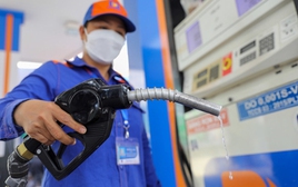 Chính phủ cho phép Petrovietnam nhập khẩu dầu thô, nguyên liệu sản xuất xăng dầu