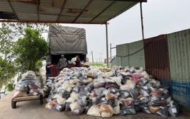 Vụ án 100 tấn thực phẩm chức năng giả: Cán bộ hải quan nhận hối lộ 1,5 tỷ đồng