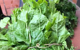 5 loại rau "bổ hơn thịt, rẻ hơn thuốc", bán đầy rẫy ở chợ Việt